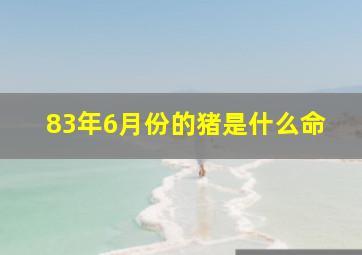 83年6月份的猪是什么命