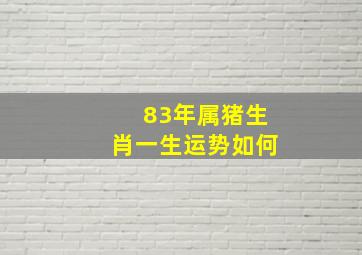 83年属猪生肖一生运势如何