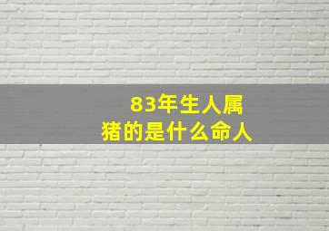 83年生人属猪的是什么命人