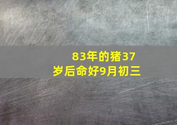 83年的猪37岁后命好9月初三