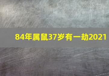 84年属鼠37岁有一劫2021