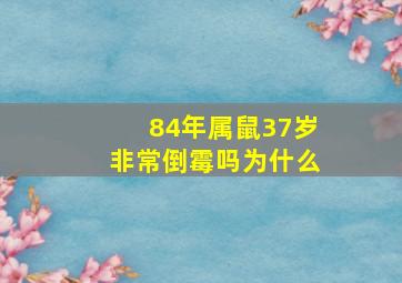 84年属鼠37岁非常倒霉吗为什么