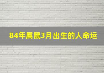 84年属鼠3月出生的人命运