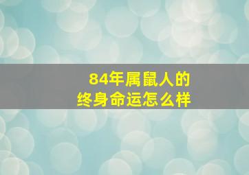 84年属鼠人的终身命运怎么样