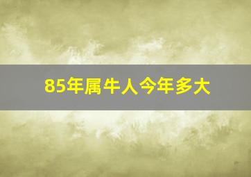 85年属牛人今年多大