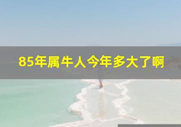 85年属牛人今年多大了啊