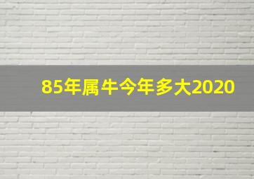 85年属牛今年多大2020