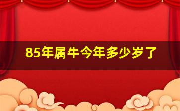 85年属牛今年多少岁了