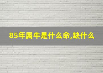 85年属牛是什么命,缺什么