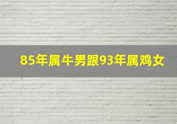 85年属牛男跟93年属鸡女