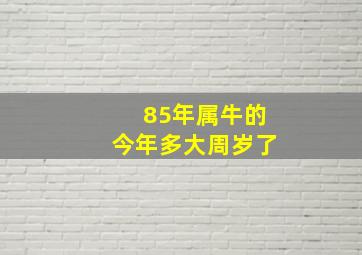 85年属牛的今年多大周岁了