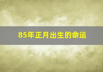 85年正月出生的命运