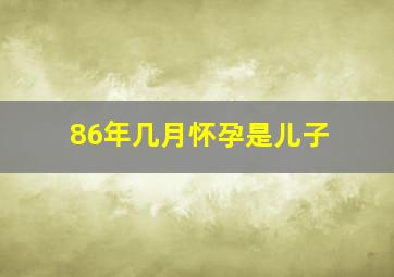 86年几月怀孕是儿子