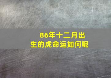 86年十二月出生的虎命运如何呢