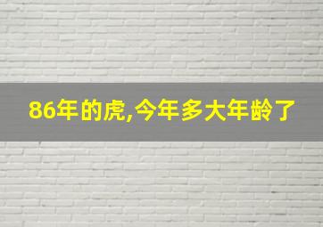 86年的虎,今年多大年龄了