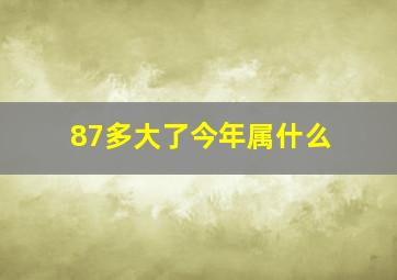 87多大了今年属什么