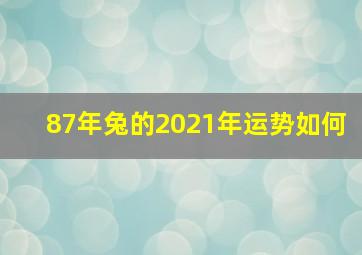 87年兔的2021年运势如何