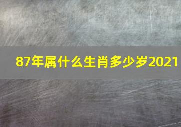 87年属什么生肖多少岁2021