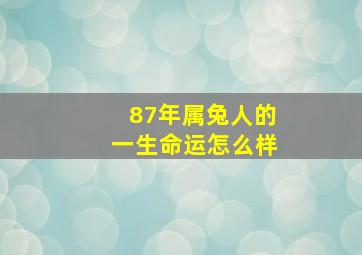 87年属兔人的一生命运怎么样