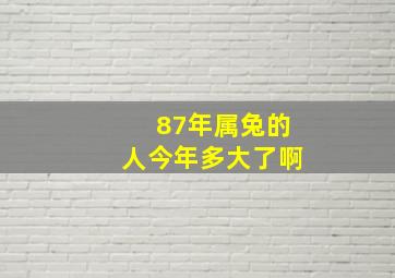 87年属兔的人今年多大了啊