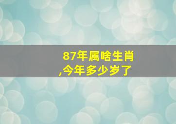 87年属啥生肖,今年多少岁了