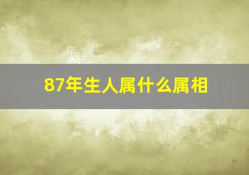 87年生人属什么属相