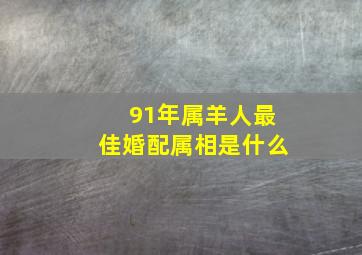 91年属羊人最佳婚配属相是什么