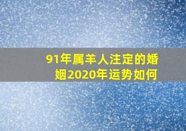 91年属羊人注定的婚姻2020年运势如何