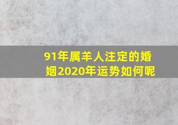 91年属羊人注定的婚姻2020年运势如何呢