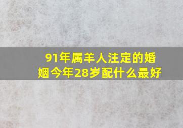 91年属羊人注定的婚姻今年28岁配什么最好