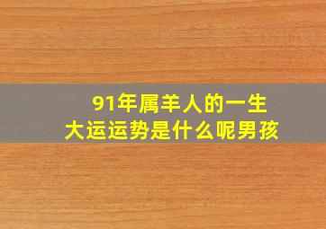 91年属羊人的一生大运运势是什么呢男孩