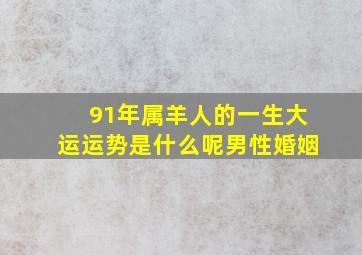 91年属羊人的一生大运运势是什么呢男性婚姻