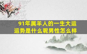 91年属羊人的一生大运运势是什么呢男性怎么样