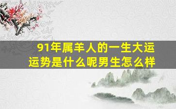 91年属羊人的一生大运运势是什么呢男生怎么样