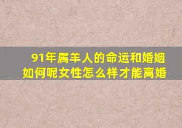 91年属羊人的命运和婚姻如何呢女性怎么样才能离婚