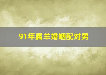 91年属羊婚姻配对男