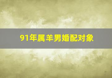 91年属羊男婚配对象