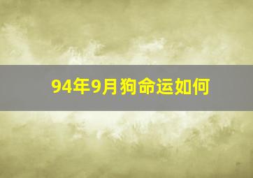 94年9月狗命运如何