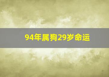 94年属狗29岁命运