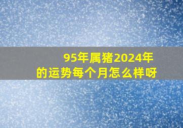 95年属猪2024年的运势每个月怎么样呀