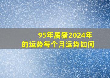 95年属猪2024年的运势每个月运势如何