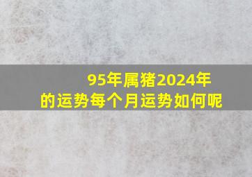 95年属猪2024年的运势每个月运势如何呢