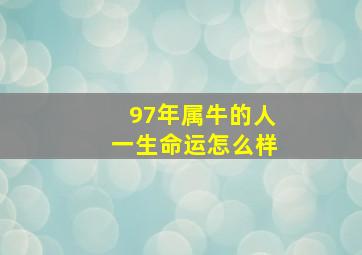 97年属牛的人一生命运怎么样