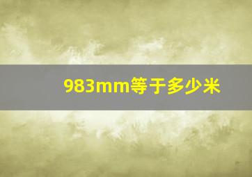 983mm等于多少米