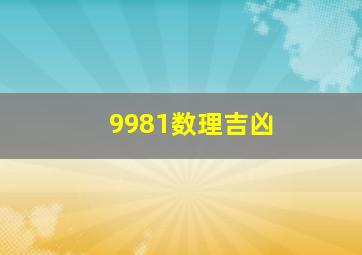 9981数理吉凶