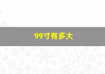 99寸有多大