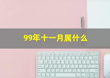 99年十一月属什么