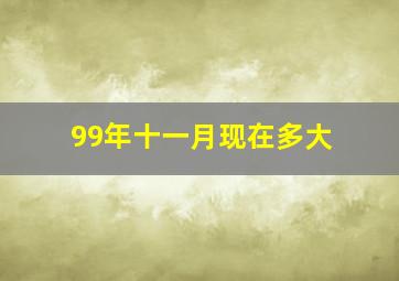 99年十一月现在多大