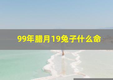 99年腊月19兔子什么命