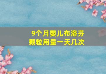 9个月婴儿布洛芬颗粒用量一天几次